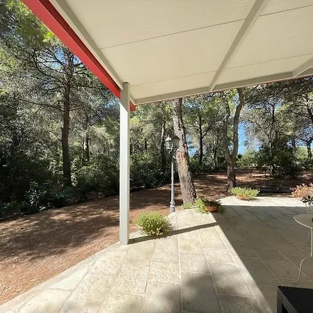 La Casa Nel Bosco