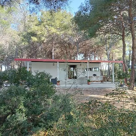 La Casa Nel Bosco 別荘 *
