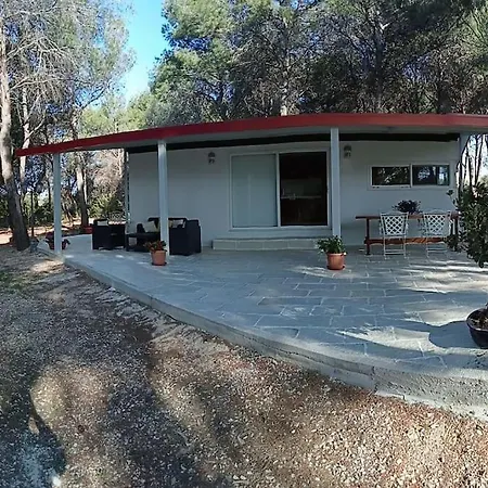 La Casa Nel Bosco