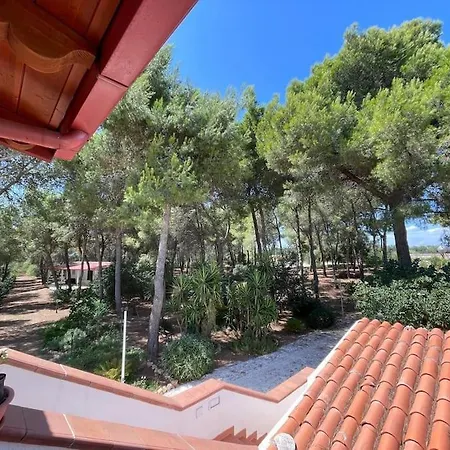 La Casa Nel Bosco