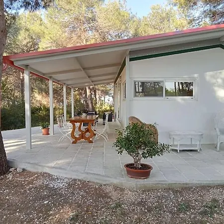 La Casa Nel Bosco