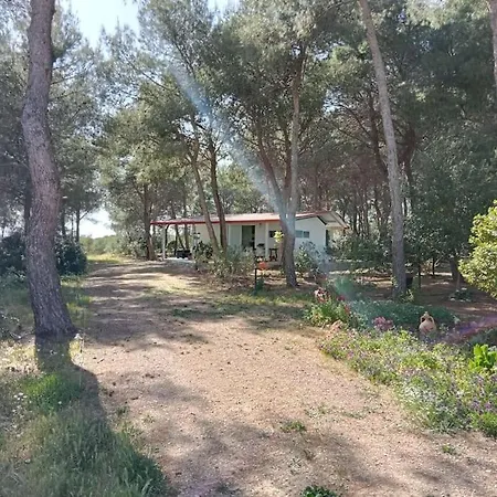 La Casa Nel Bosco *